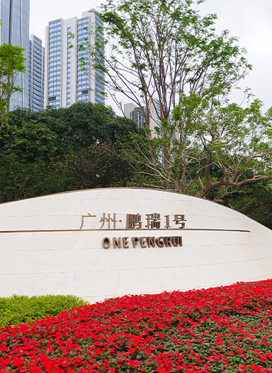广州鹏瑞1号