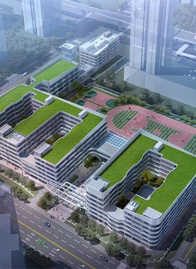 华东师范大学附属深圳龙华学校标识